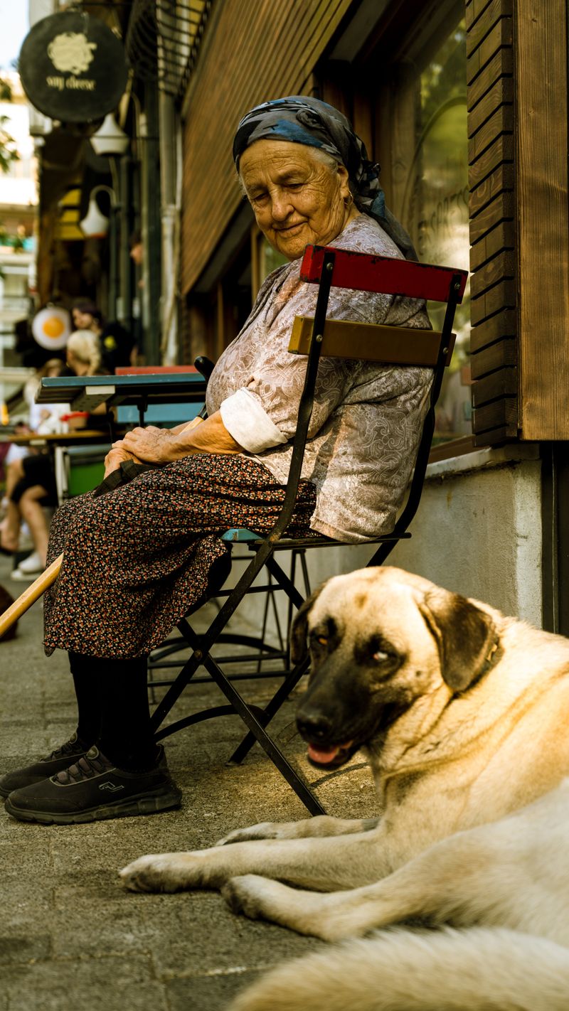 Yaşlı bir kadının yanında uzanan sadık köpeği