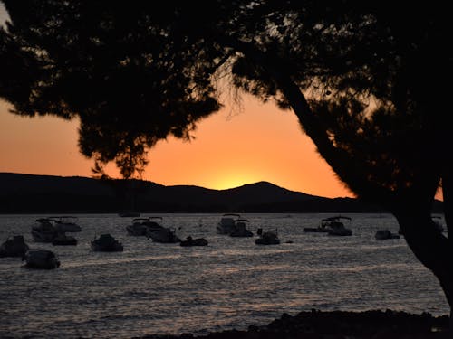 Gratis lagerfoto af båd, gylden solnedgang, hav