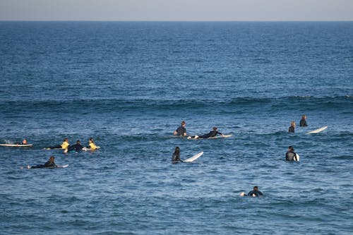 View of People Surfing 