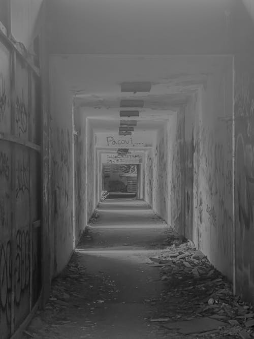 Lost Corridor