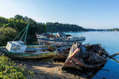 Wrecked Boats Deteriorating on a Lakeshore