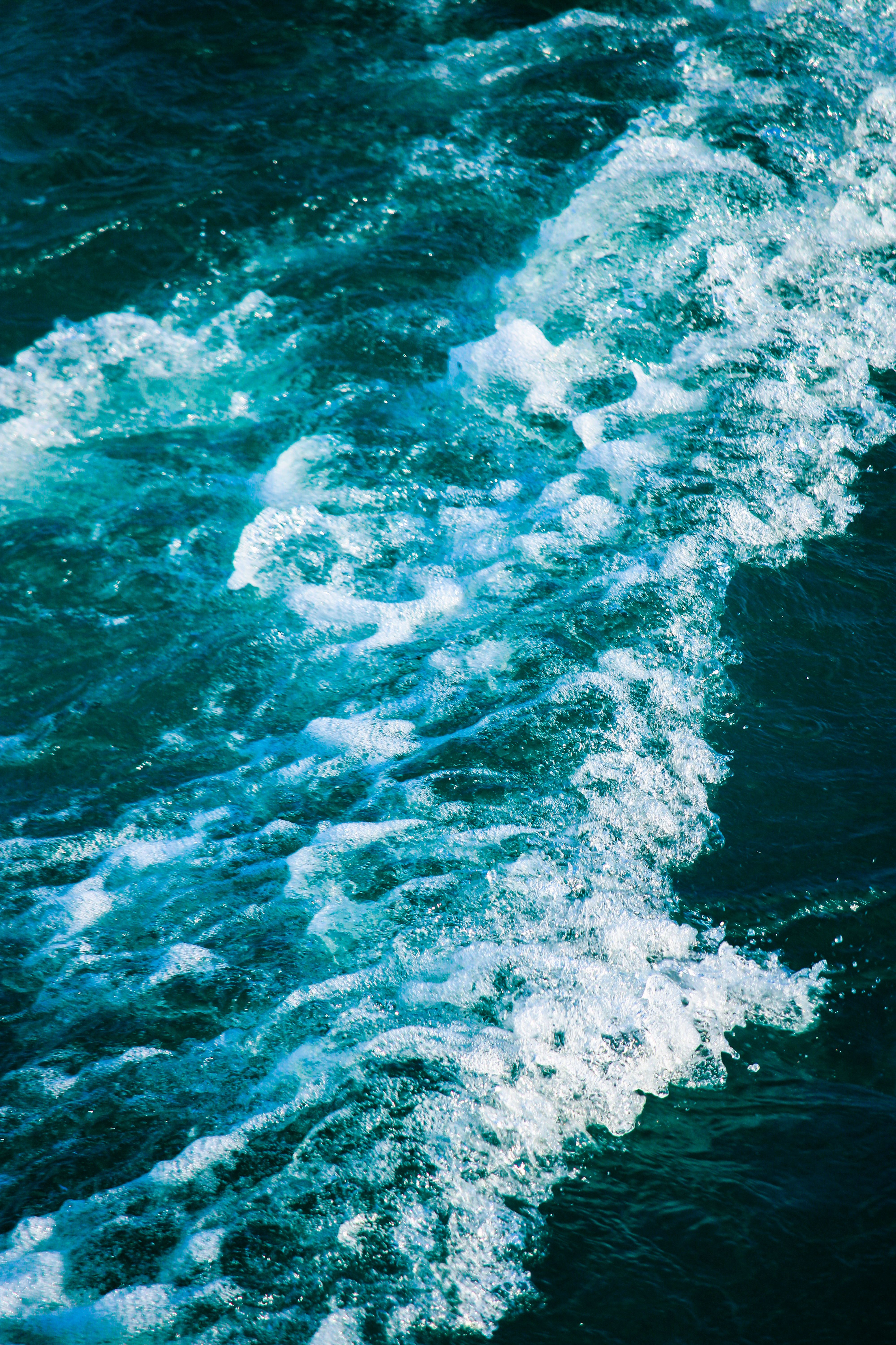 Splashing Sea Wave · Free Stock Photo