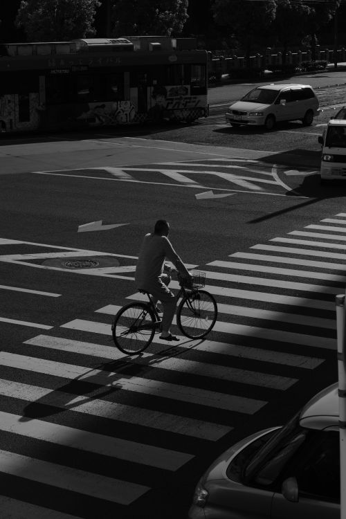 Free A cyclist rides across a zebra crossing in an urban environment, captured in black and white. Stock Photo
