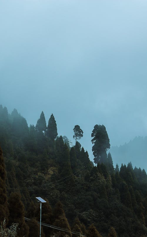 丘陵, 大吉岭, 山 的 免费素材图片