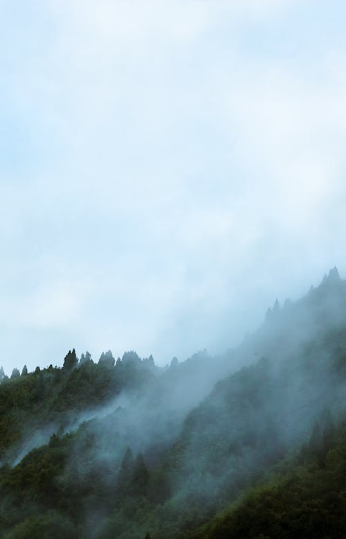 Clouds and Fog over Forest on Hill