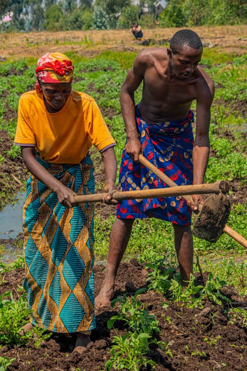 Couple Farming with Hoes