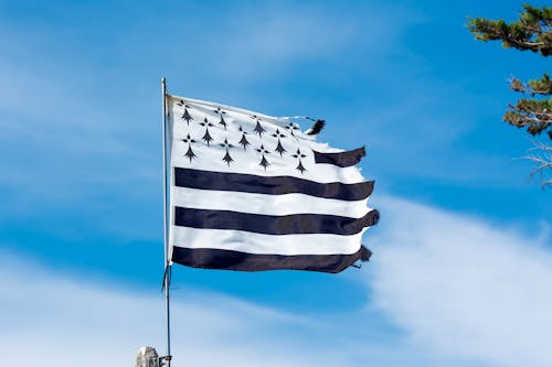 Kostnadsfri bild av bretagne, flagga, flaggstång