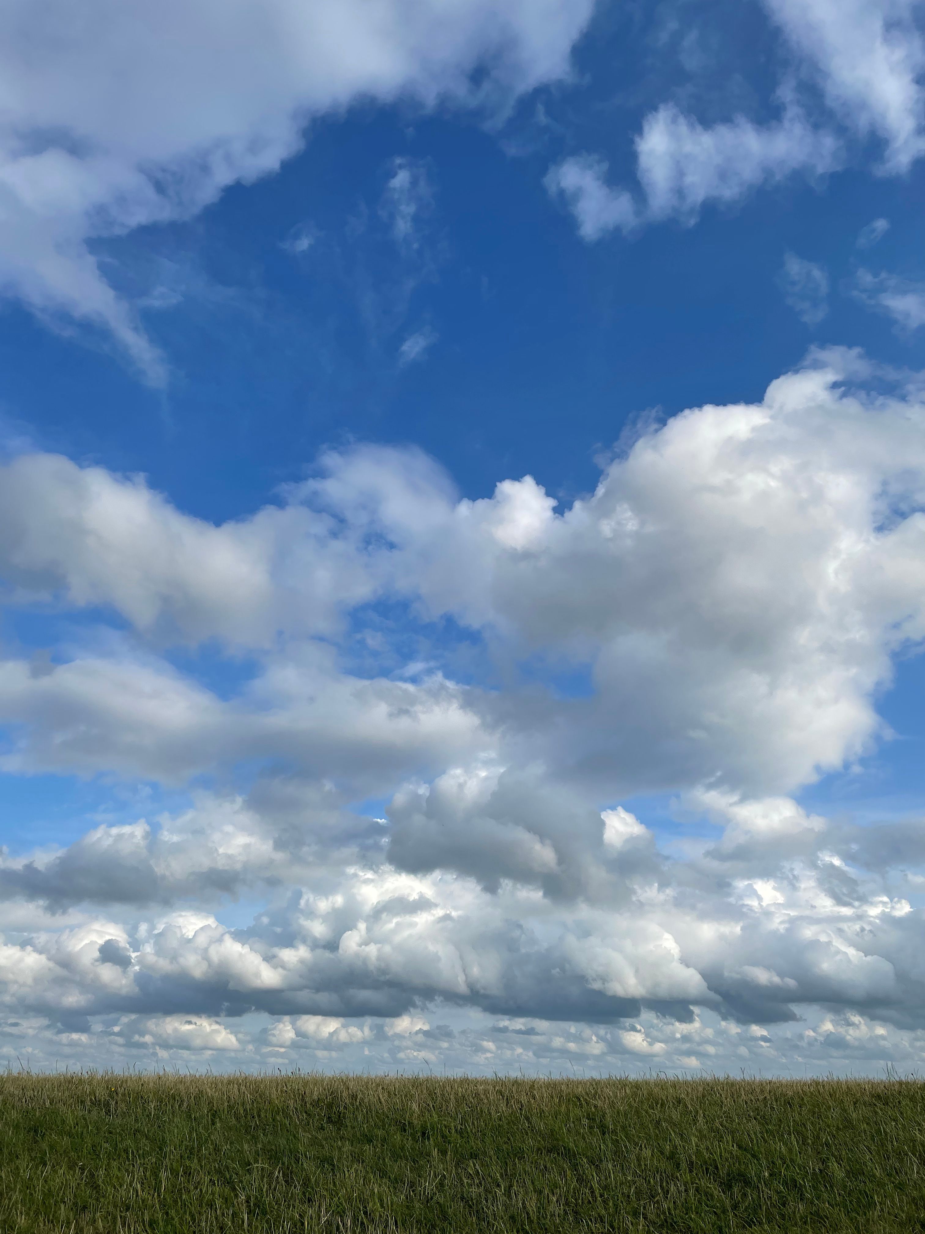 A Grass Field under a Blue Sky and White Clouds · Free Stock Photo