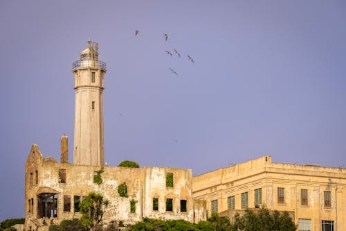 Безкоштовне стокове фото на тему «alcatraz, вежа, вежі»
