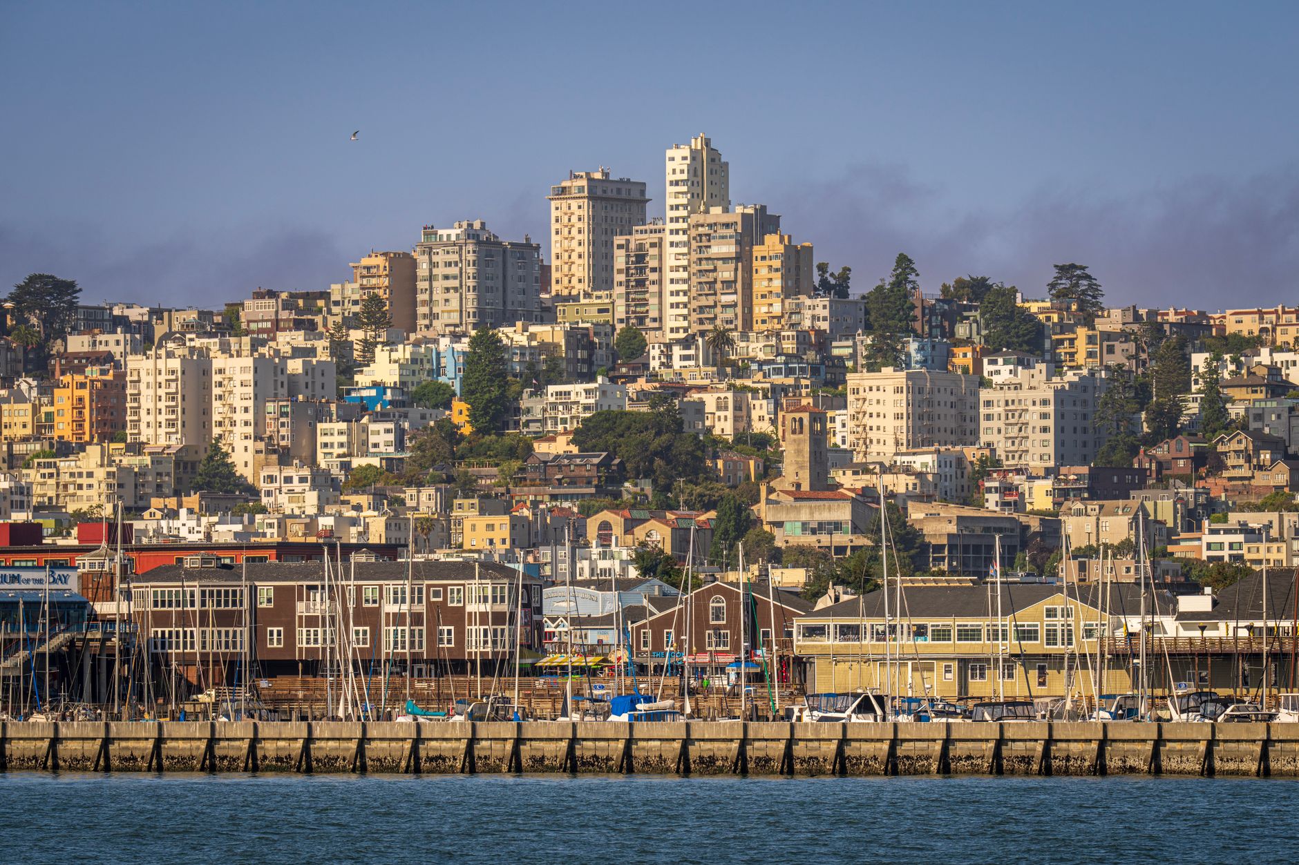 San Francisco Surge Signals Shift in California Real Estate Trends San Francisco Surge Signals Shift in California Real Estate Trends