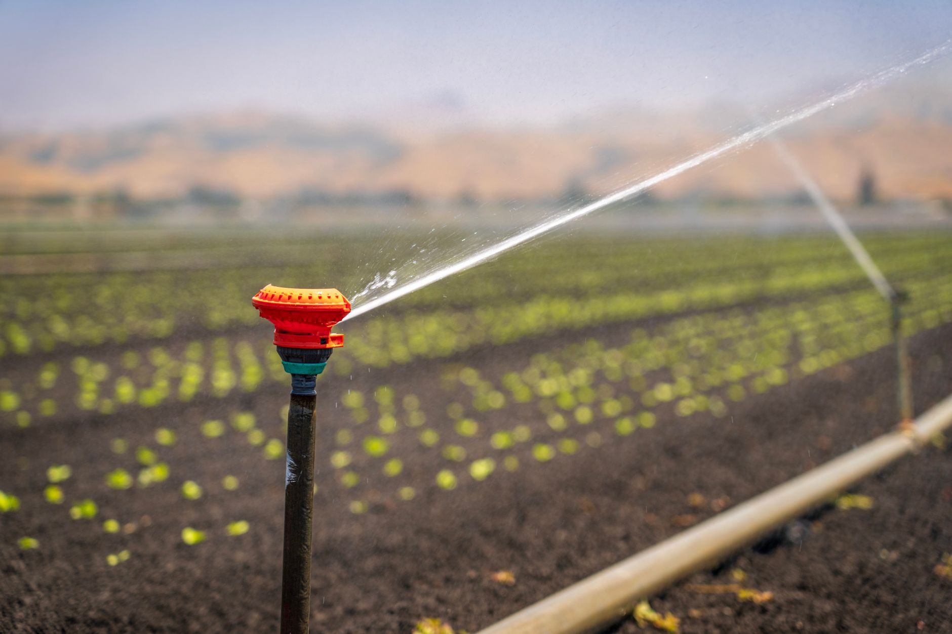 Best Irrigation Kit for Beginners (2026)