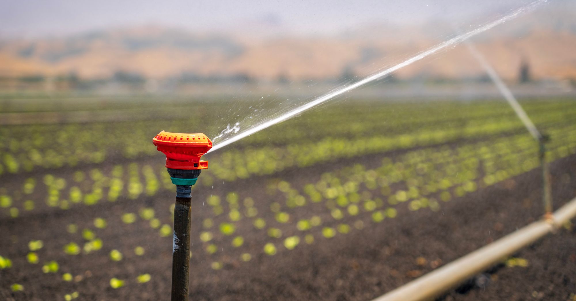 Ecuador Irrigation Project Boosts Farm Output for Thousands