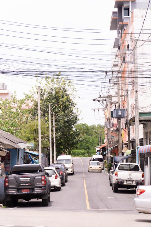 Fotobanka s bezplatnými fotkami na tému bukit kayu hitam, dannok, hranice