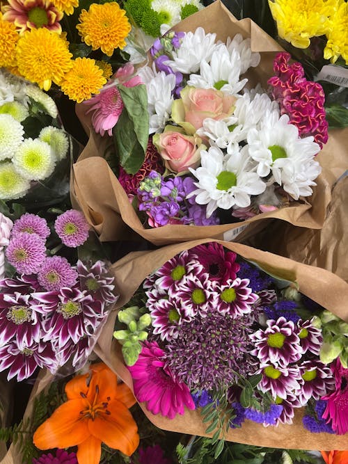 Fotos de stock gratuitas de amor de flores, arte floral, belleza de jardín