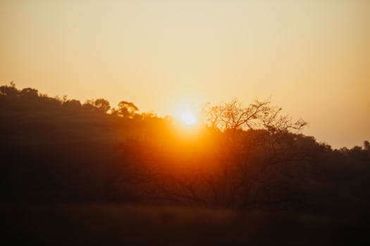 Captivating sunrise with a silhouetted tree in a rural setting. Perfect natural beauty.