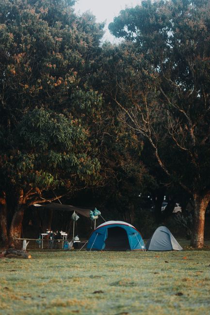 Sunset over a quiet forest campsite with a tent and campfire ring