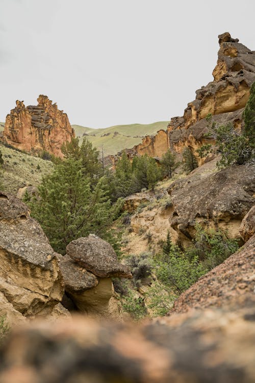 Panorama of a Rough Mountain Terrain and Rock Formations, Leslie Gulch, Oregon, USA