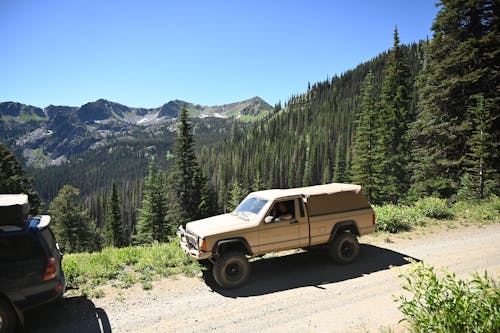 Jeep Comanche on Sunlit Dirt Road with Forest behind