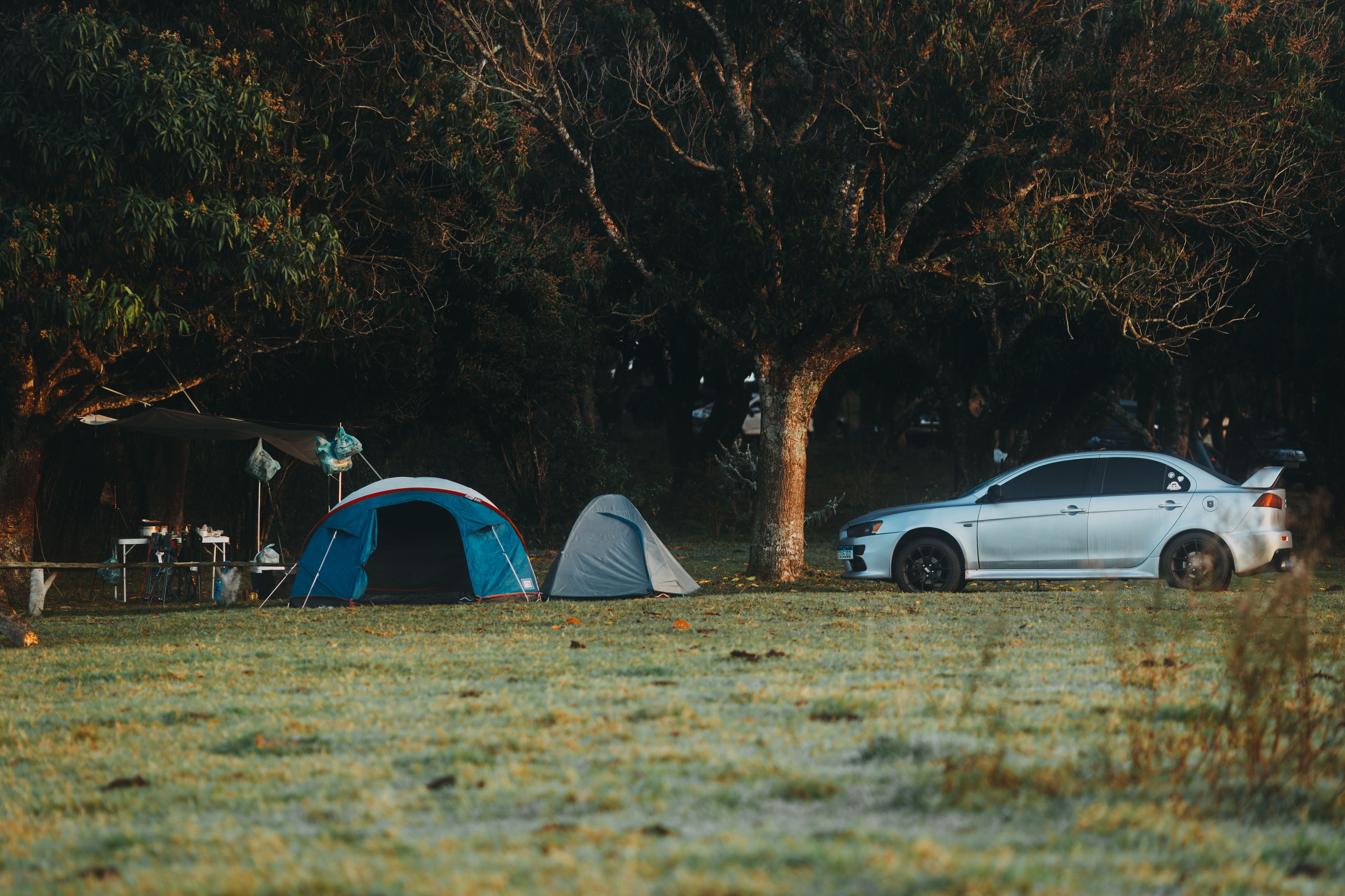 Idyllic outdoor camping scene with tents and car under large trees in a serene forest setting.