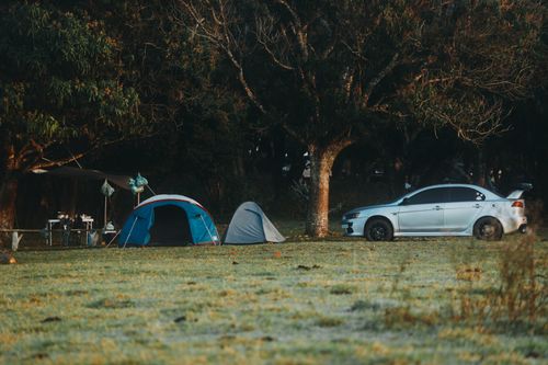 Free Idyllic outdoor camping scene with tents and car under large trees in a serene forest setting. Stock Photo