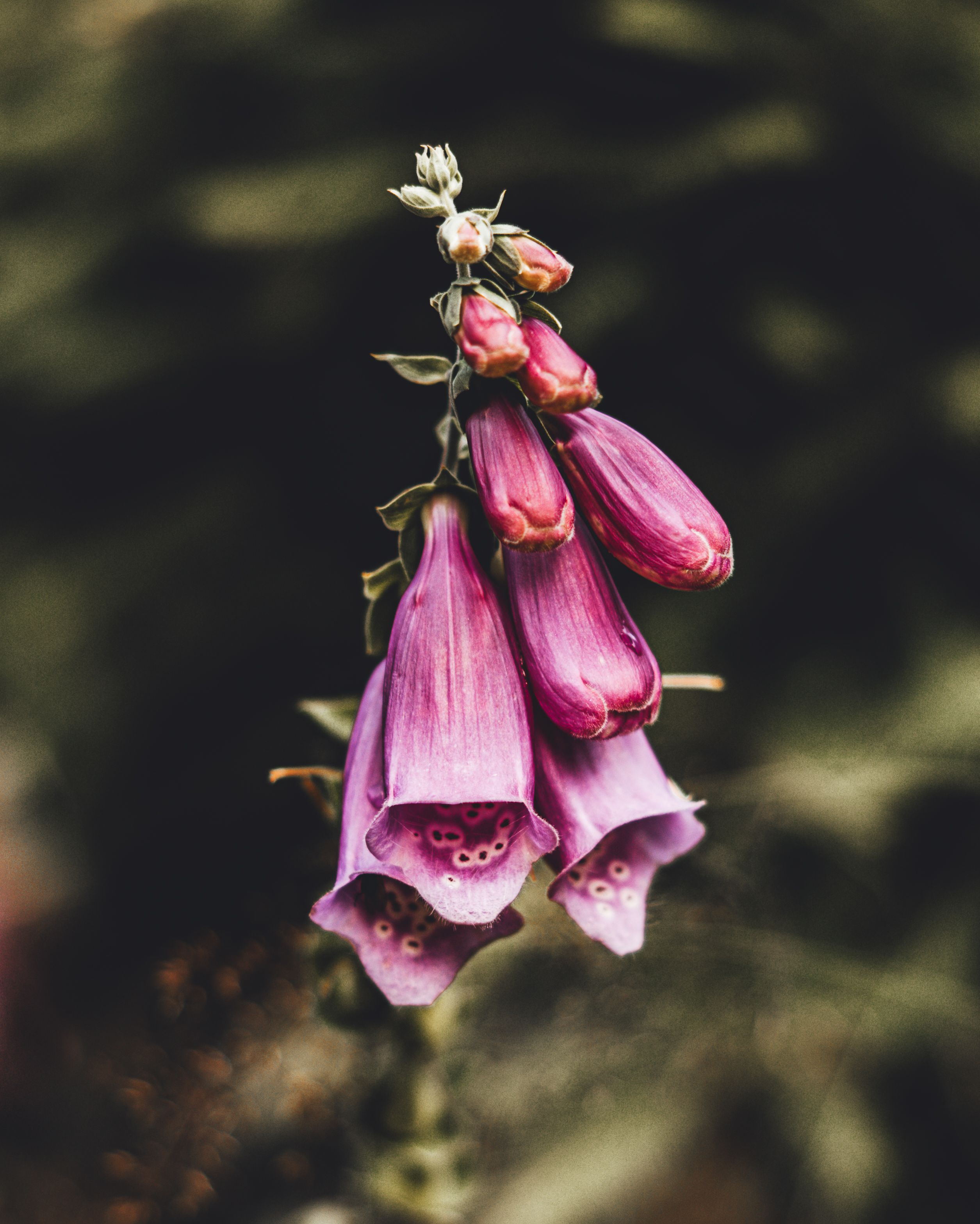 Taking Action In Spite Of Imperfection