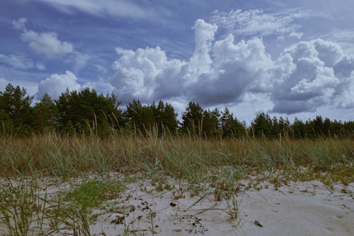 Fotobanka s bezplatnými fotkami na tému breh, duny, morské pobrežie