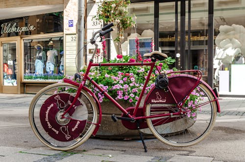 Безкоштовне стокове фото на тему «велосипед, вимощена дорога, зайняте місто»