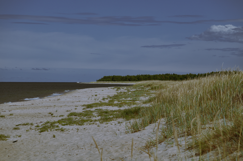 Free A tranquil beach scene with white sand and coastal greenery under a blue sky. Stock Photo