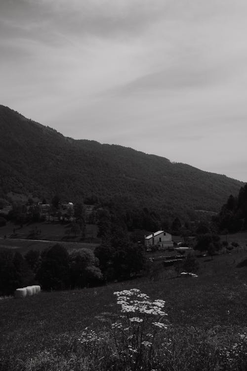 Village in Countryside in Black and White