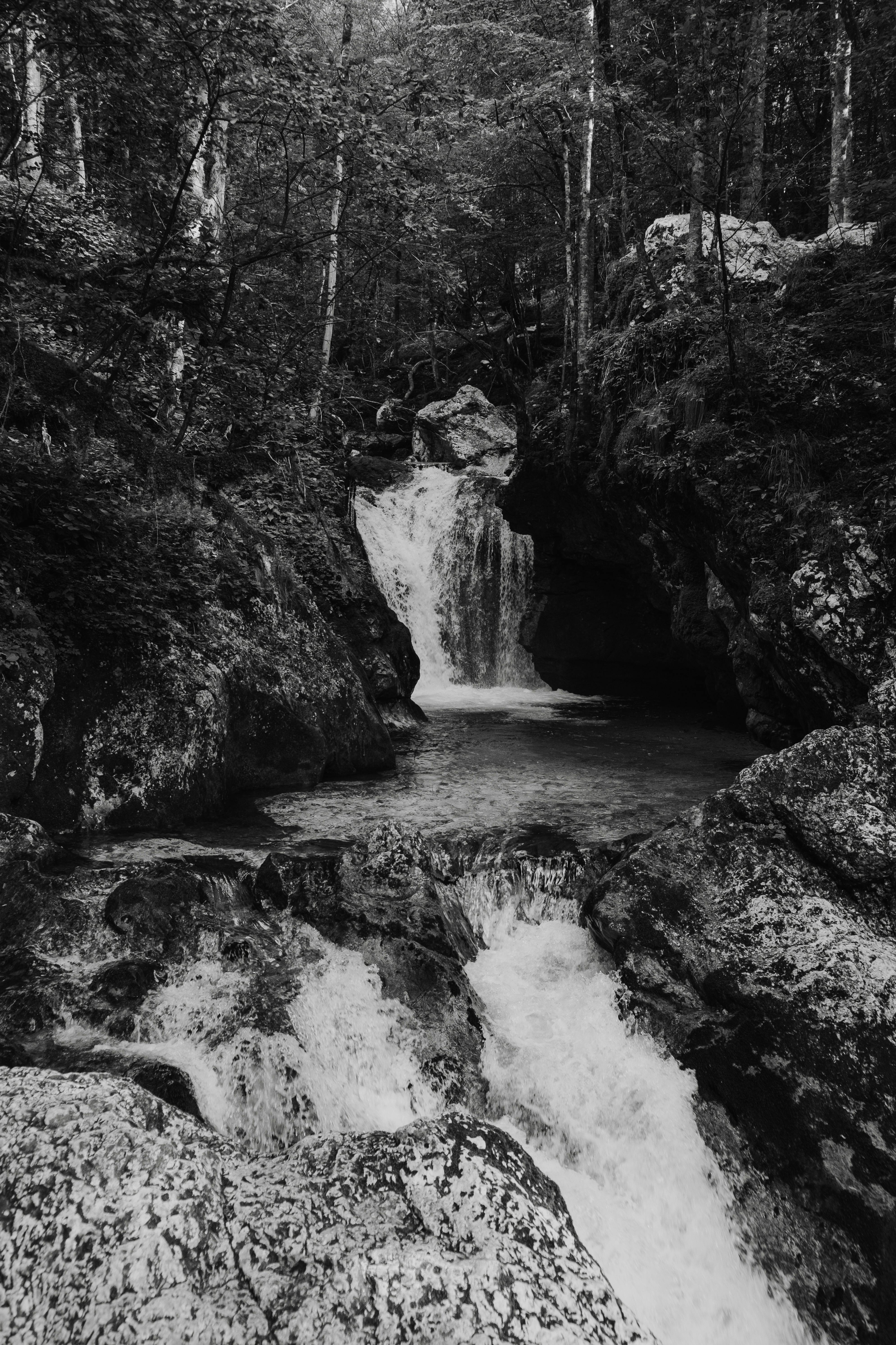 Captivating black and white waterfall in a lush forest setting.