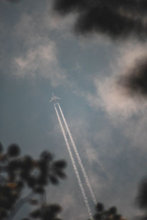 Free Airplane captured through branches with contrails in a partly cloudy sky, illustrating travel and aviation. Stock Photo
