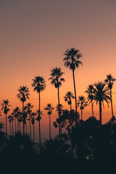 The Dawn You Create