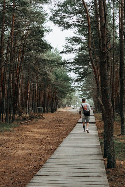 Back View of a Man Walking on a Boardwalk in a Forest