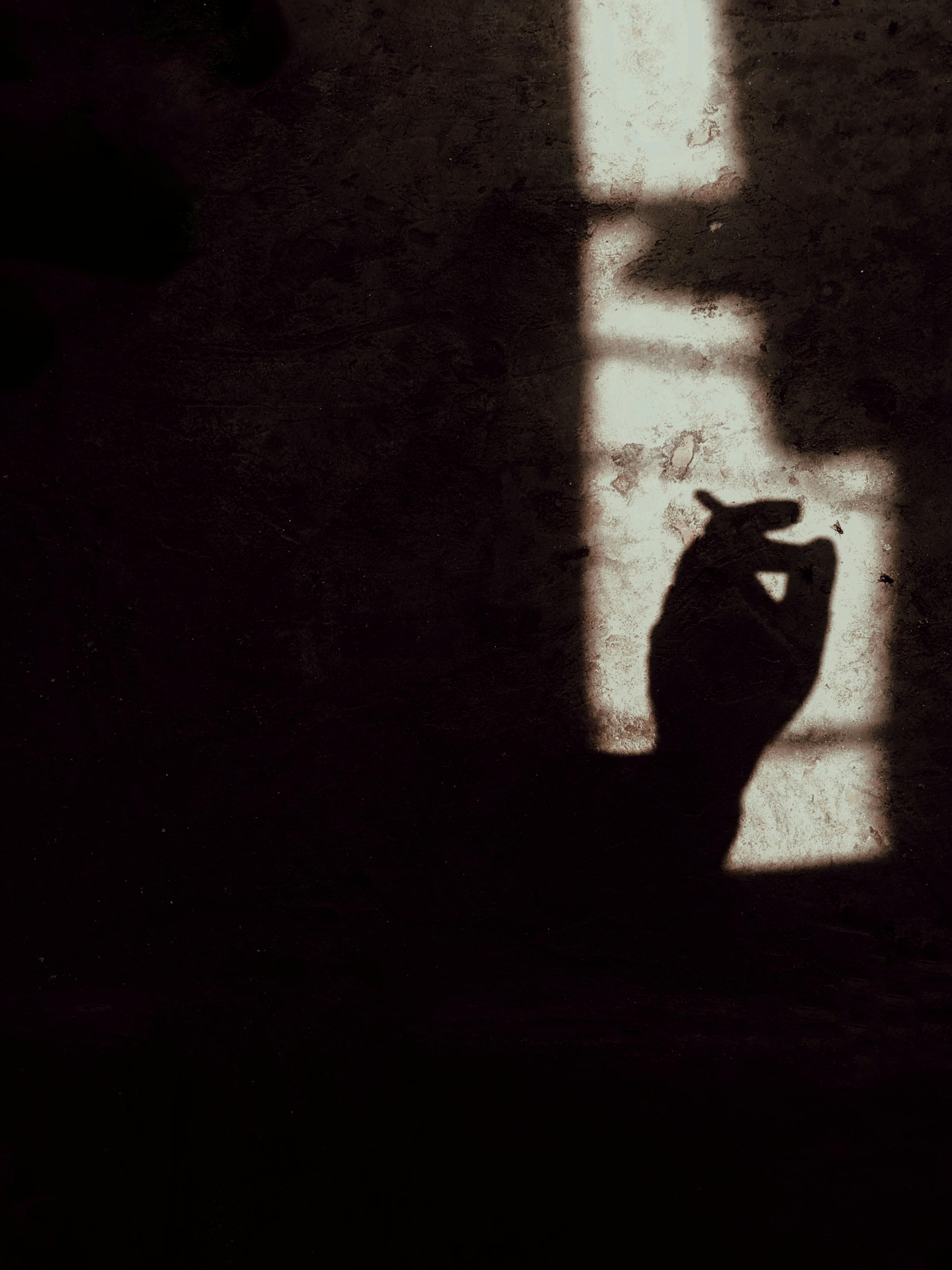 Ücretsiz Duvarda Sigara Tutan Bir Elin Gölgesi  Stok Fotoğraflar