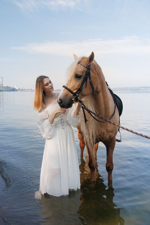 Free Elegant woman in white dress with a palomino horse by the lakeside on a sunny day. Stock Photo