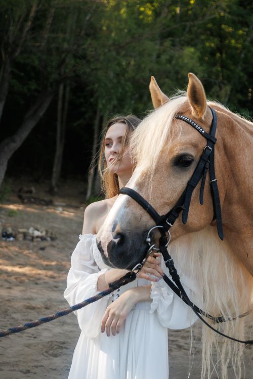 Free A serene outdoor portrait of a woman in a white dress standing alongside a blonde horse. Stock Photo