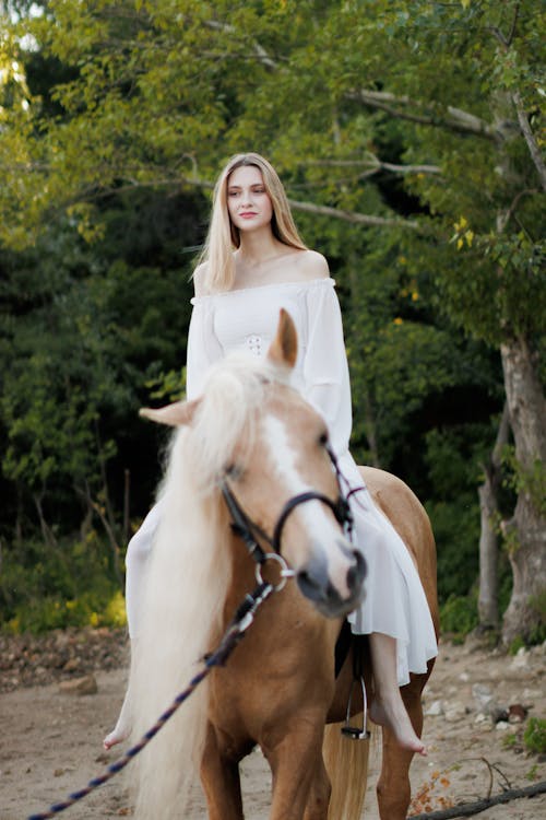 Model Woman in Long Sleeved Dress on Horse