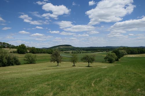 Free Serene view of rolling hills with scattered trees under a blue sky with clouds, perfect summer vista. Stock Photo