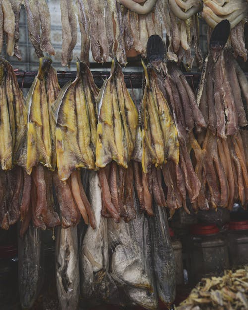 Foto profissional grátis de alimento, comércio, comprar