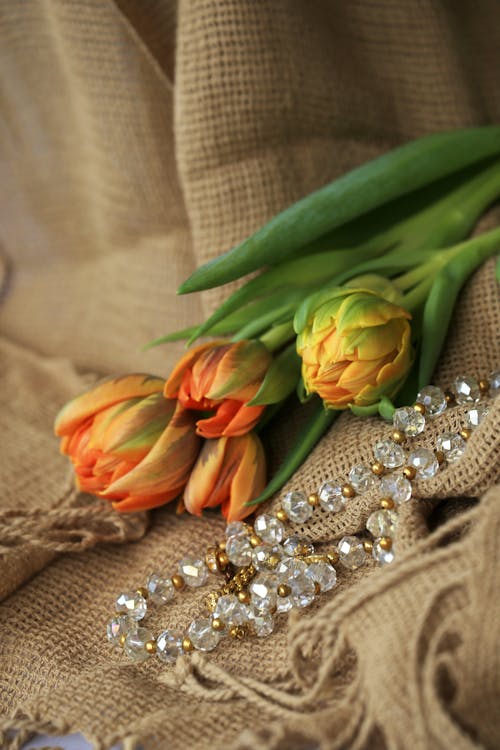 꽃, 목걸이, 보석의 무료 스톡 사진