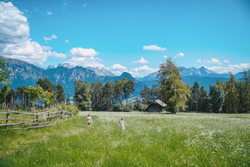 Scenic View of a Meadow, Trees and Mountains in Summer with Children Playing on a Field 
