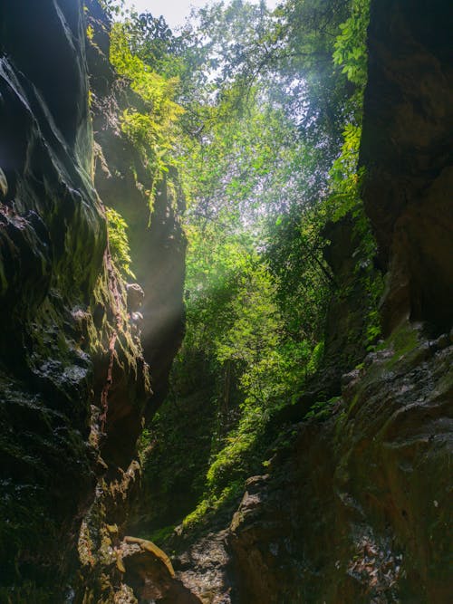 Free stock photo of cave, green, ray