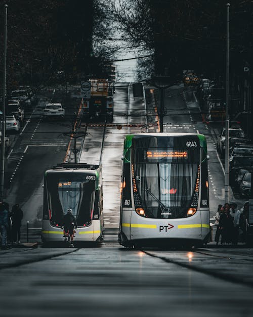 Trams on a City Street 
