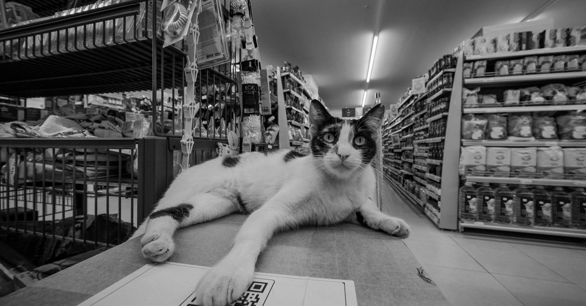 Foto de Animal shop / PET STOP