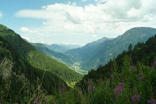 Безкоштовне стокове фото на тему «гори, Долина, дорога»