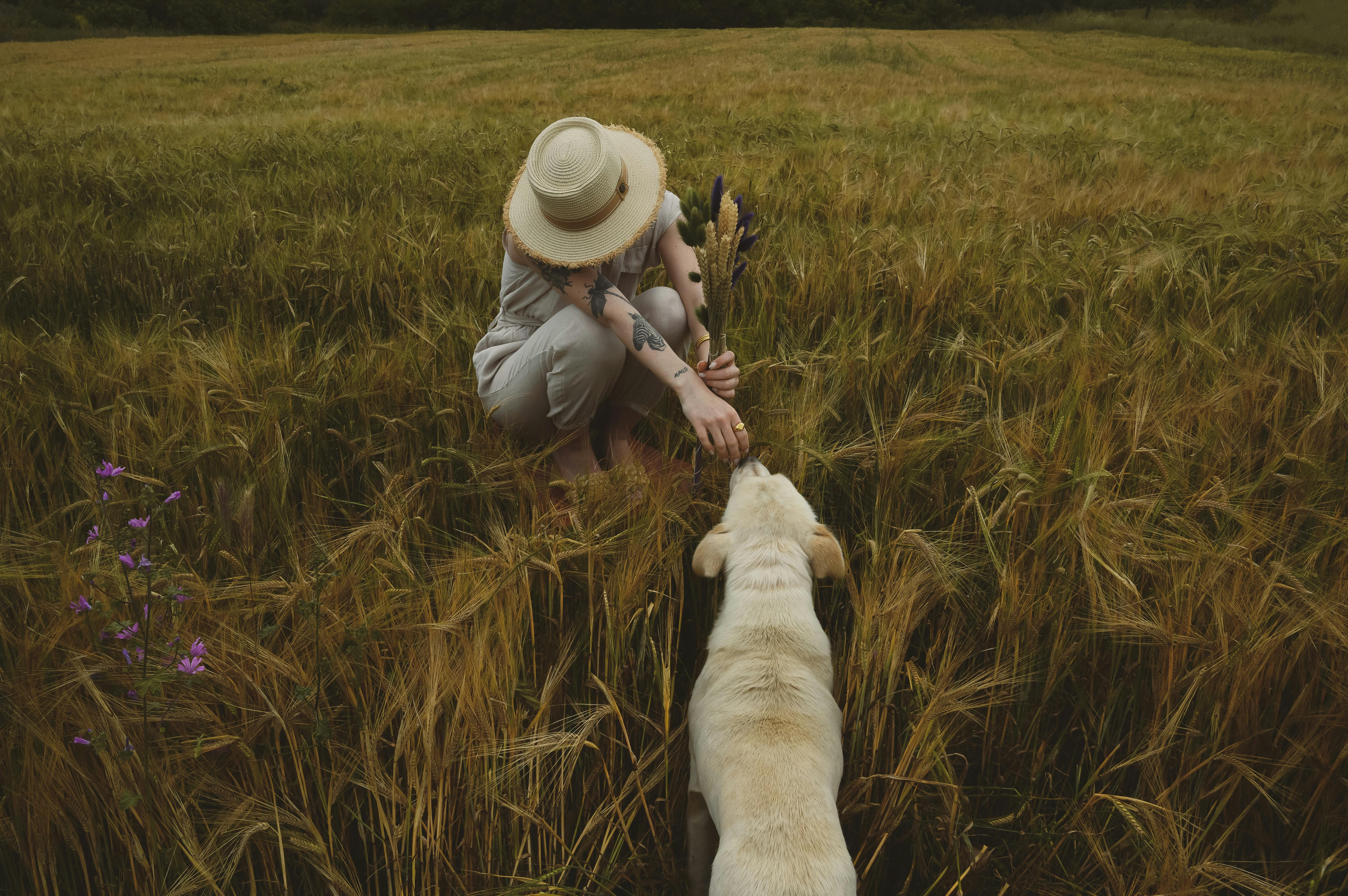 A woman in a hat interacts with her dog in a Thessaloniki wheat field.