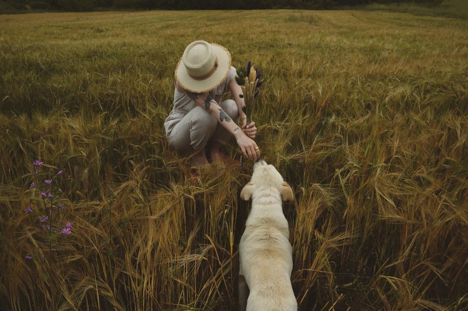 A woman in a hat interacts with her dog in a Thessaloniki wheat field.