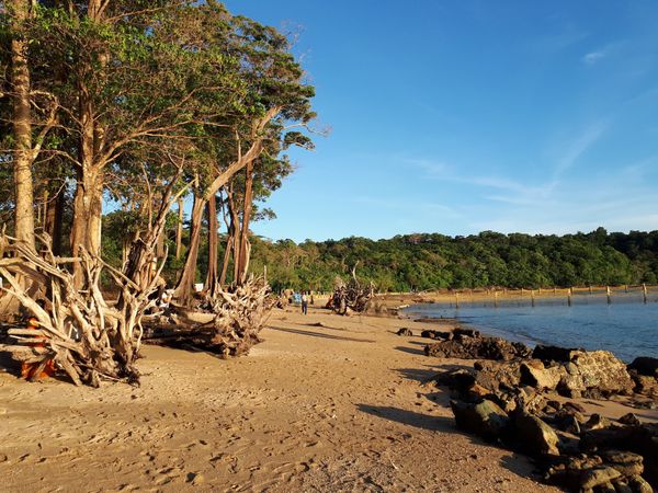 Guided Nature Walk