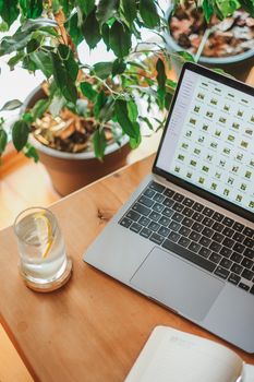 A cozy workspace featuring a laptop, glass of lemon water, and indoor plants.