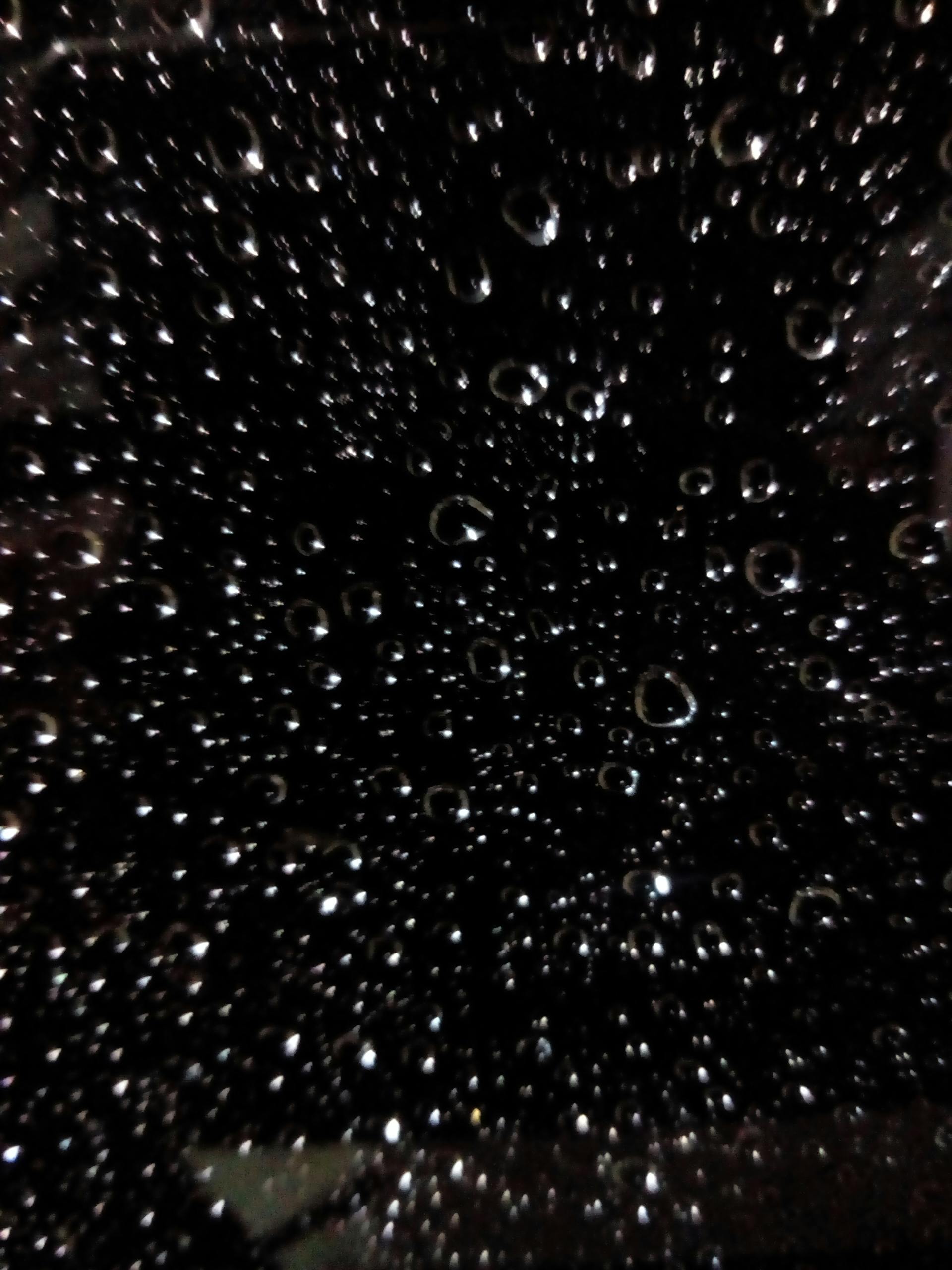 Free stock photo of black, rain, raindrops
